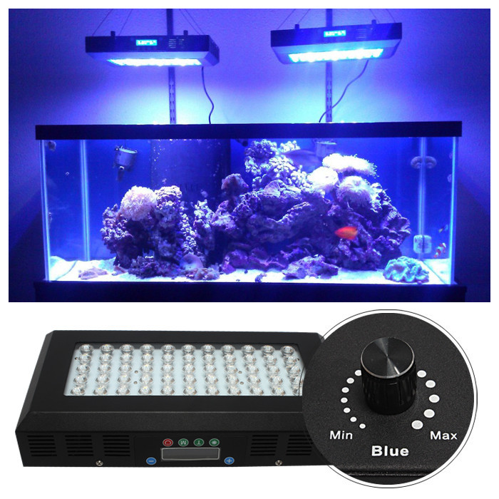 small black light fish tank