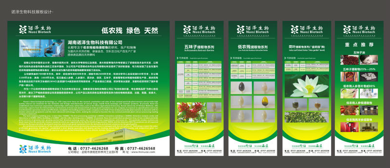 Ginseng Extract/stem and leaf extract 2014/ginseng powder