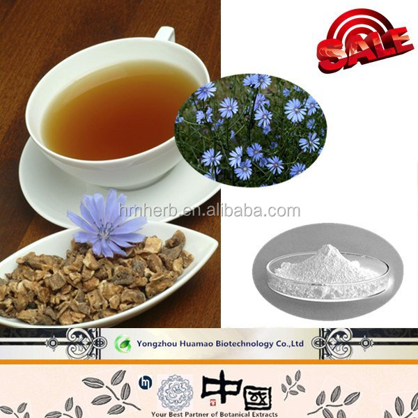 Manufacturer Supply Chicory Extract Inulin Pow