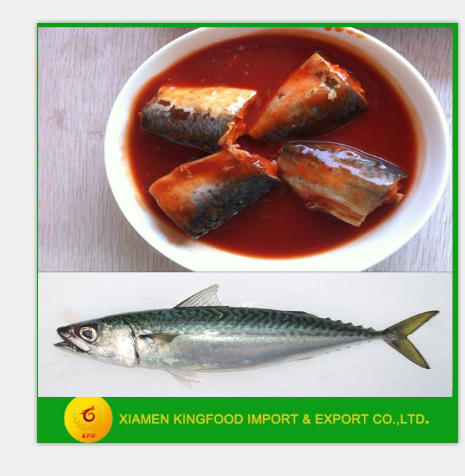 Canned Mackerel in Tomato Sauce 425g ghana,China as the customers