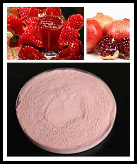 Some in stock fruit juice powder instant apple tea powder