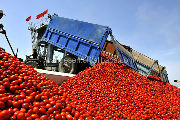 high quality tomato paste 400g own best price