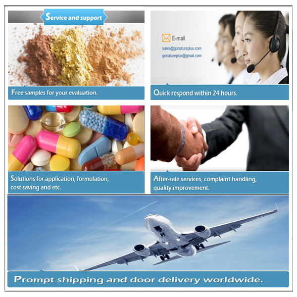 Factory prices Aloe Vera Extract Barbaloin 40%- 98% Barbaloin HPLC
