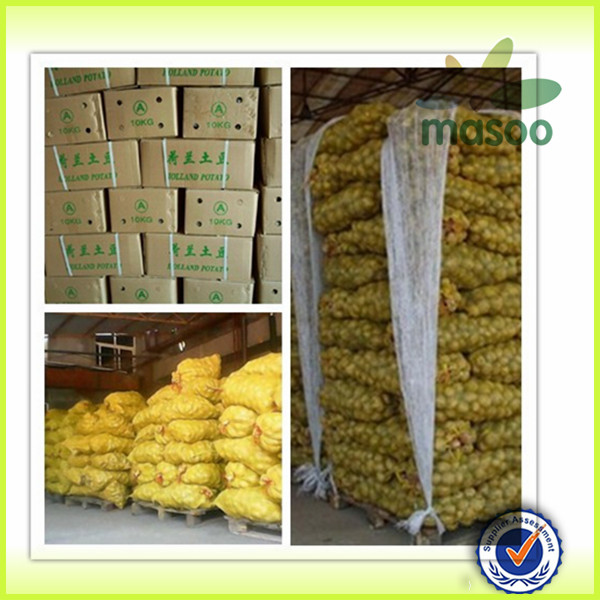 Chinese fresh sweet Holland potato factory and exporter