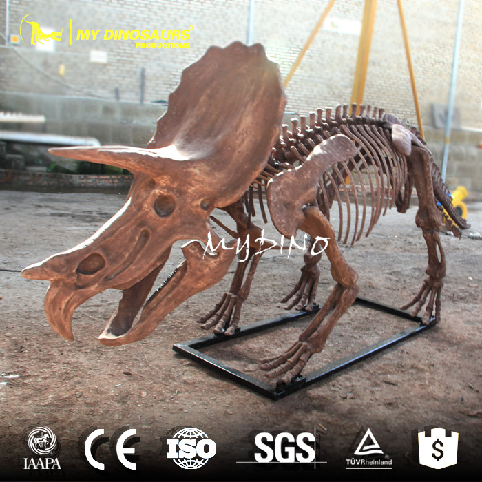 dino skeleton.jpg