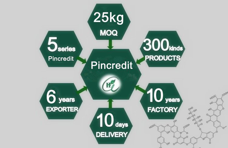 Pure piperine extract piperine 50% from black pepper extract