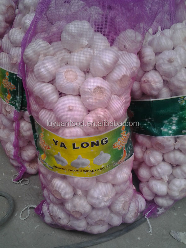 2014 fresh garlic in mesh bag