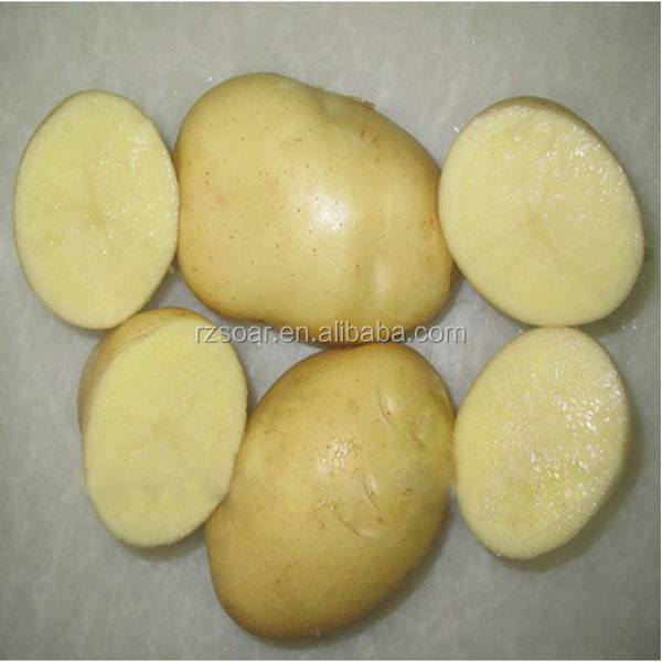 potato 7kg carton export to malaysia