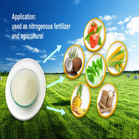 China's high quality cocoa extract powder