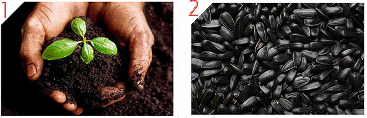 Idle oil- sunflower oil at best price