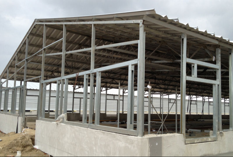  steel structure chicken poultry house, cow shed and pigs farm for sale