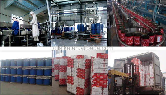 70g-4500g Xinjiang 2014 tomato paste