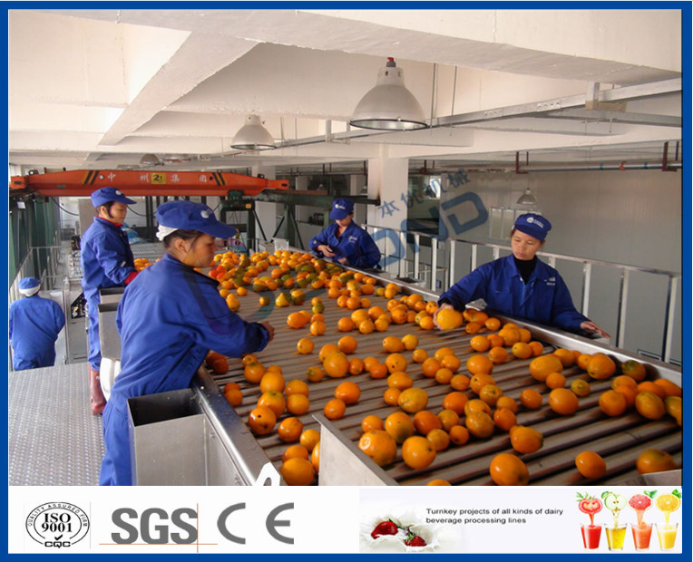 Orange processing line (2).jpg