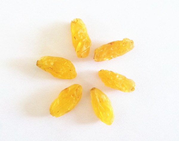 Golden Raisin 12.jpg