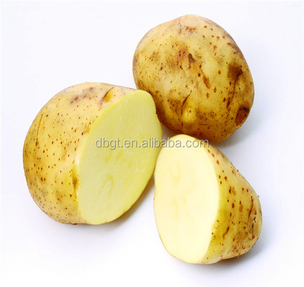 potato net bag packing/high quality fresh potato