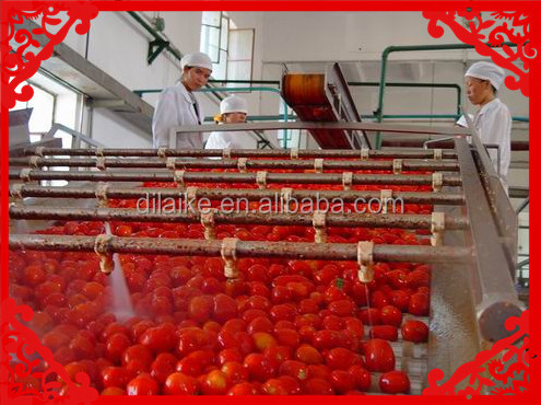 Tomato Paste in tin