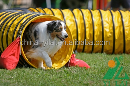 QQ20150520112946.jpg