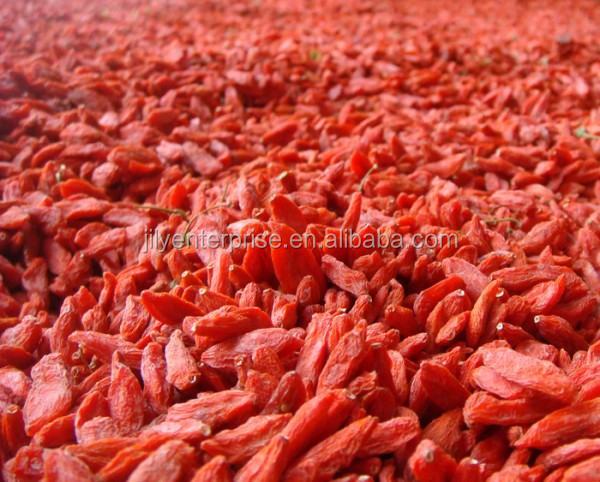 Manufacturer supply best price Ningxia Goji Berry with high quality