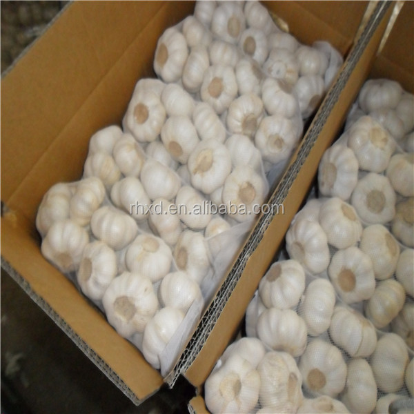 fresh normal white garlic pure white garlic exporter in china