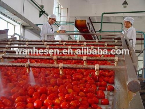 36-38%tomato paste/tomato paste brands