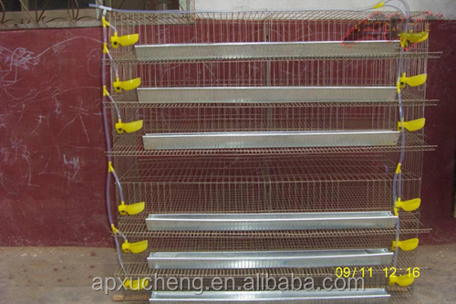 Quail Cage Design Pigeon Coops Pigeon Breeding Cage Chicken Cage - Buy 