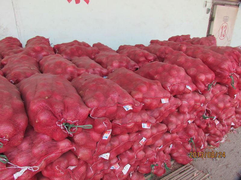 2013 new crop fresh red onion