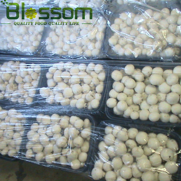 Market prices for mushrooom spawn fozen fresh champignons mushroom