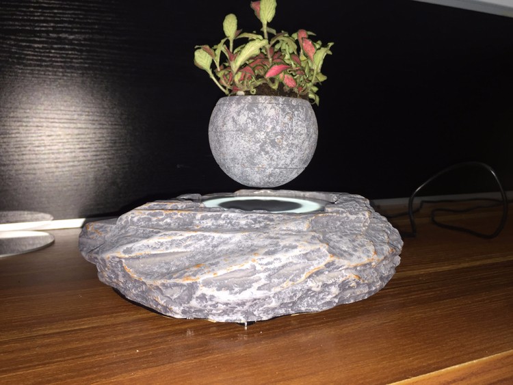 Levitating bonsai air tree indoor with green plants (7).JPG