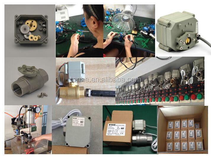 electric actuator valve