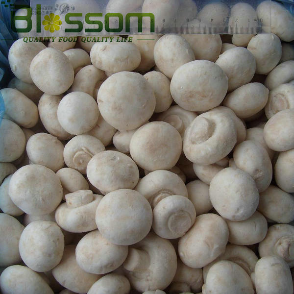 Top quality frozen shiitake mushroom names all mushrooms