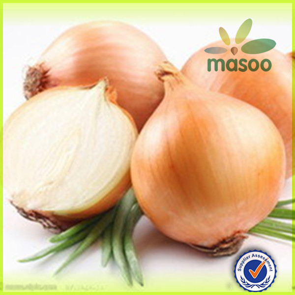 2014 New Crop onion importer from dubai,wholesale onion, Fresh Onion