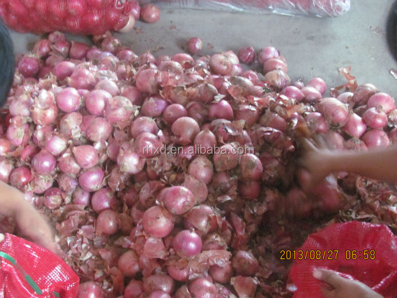 fresh onion 2014 new crop onion with lowest price