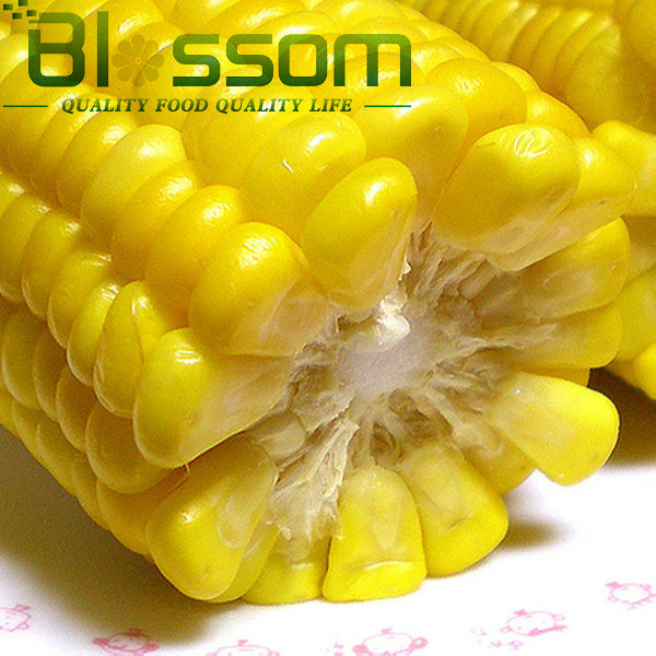 Export china hight quality products food frozen sweet corn vegetable 2014 new product