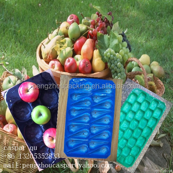 hot thermoformed pp ice cube tray