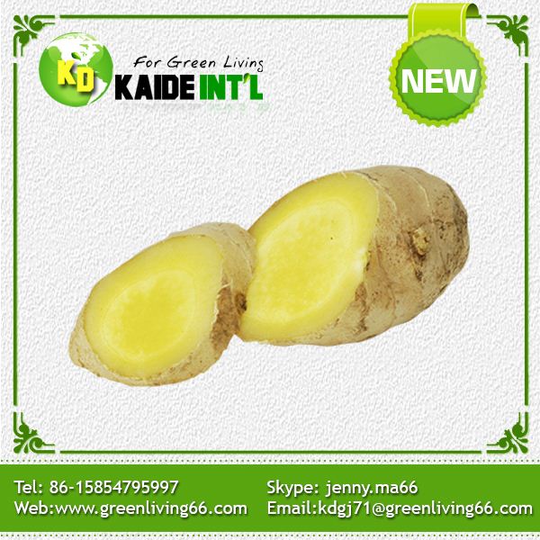 Fresh Ginger Packed In Pvc Box