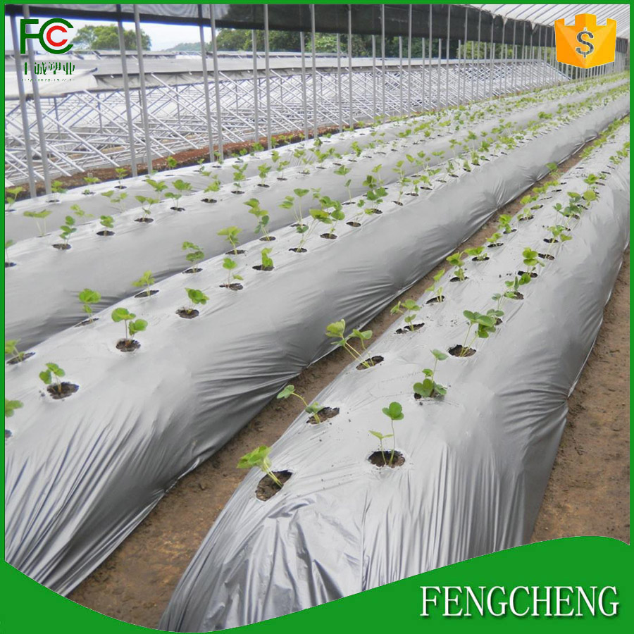 Silver Reflective Plastic Mulch Film Punch Hole With Low Price Buy