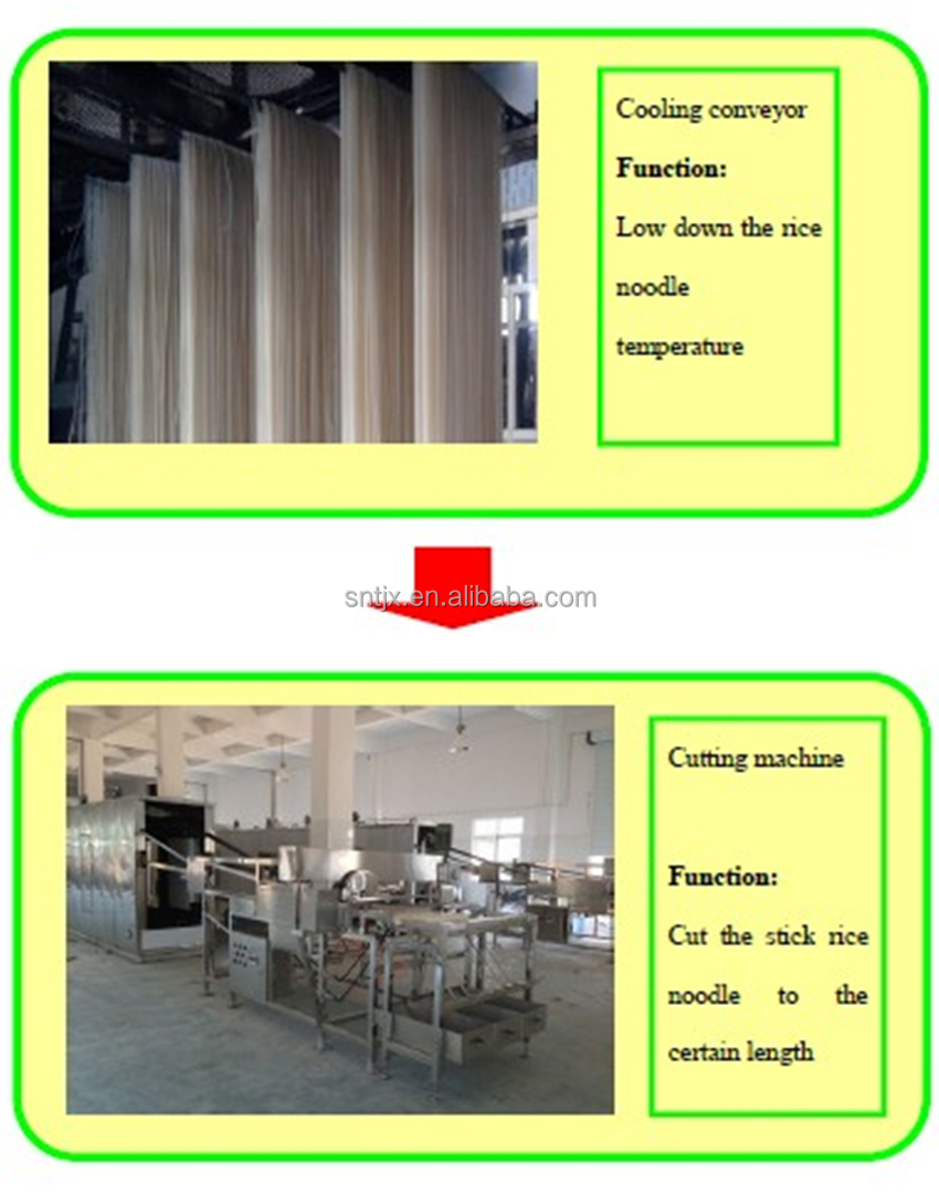 15 tons/day Industrial Stick Rice Noodle Processing Machine