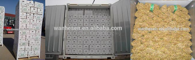 2014 High Quality New Crop Fresh ginger export For UK,CANADA,USA and EU Market best selling ginger