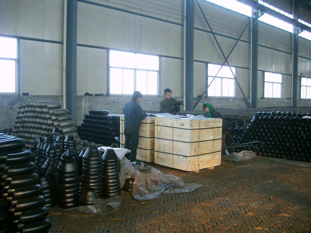 S6001597.JPG