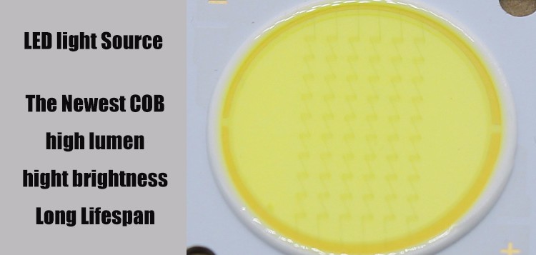 LED CHIP.jpg