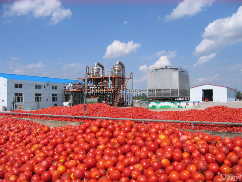 Cheap Bulk Tomato Paste