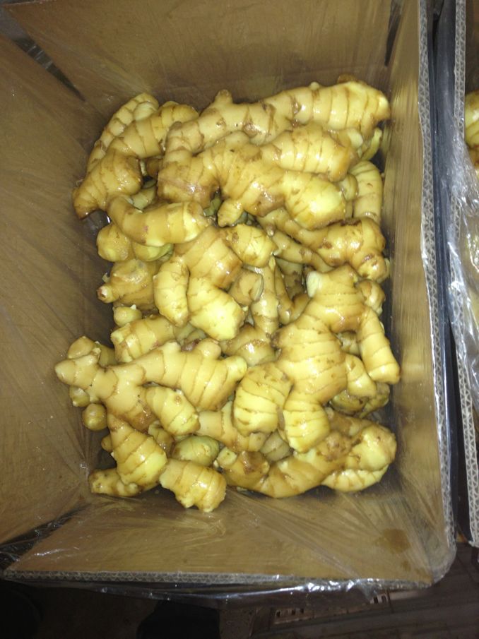 cheap price of fresh ginger in egypt
