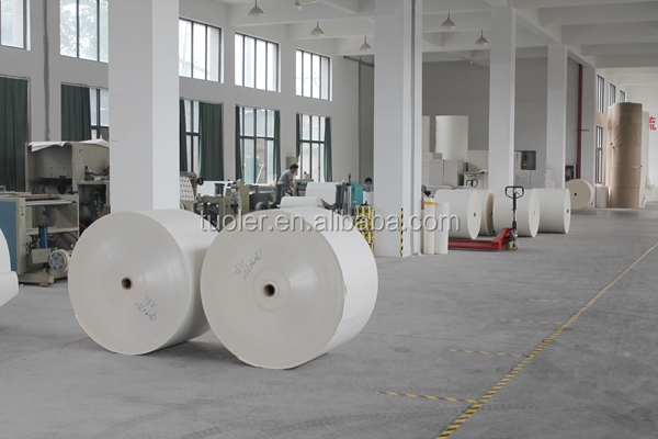 pe coated paper in roll