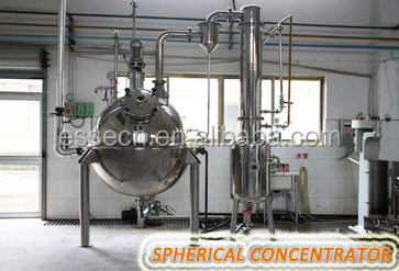 Mushroom Lentinula edodes extract