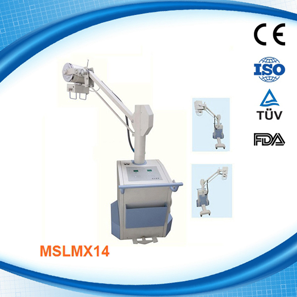 MSLMX14.jpg