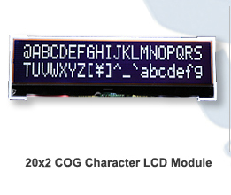 Character LCD Module