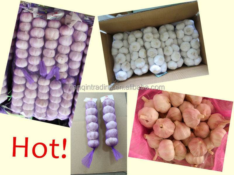 Grade A Garlic Price in Jinxiang Market