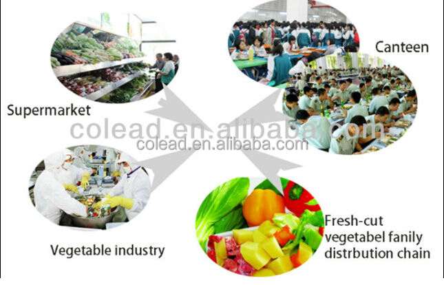 vegetable dicing machine /carrot, potato, taro, fruit, onion, mango, pineapple, apple, ham,automatic cutting machine