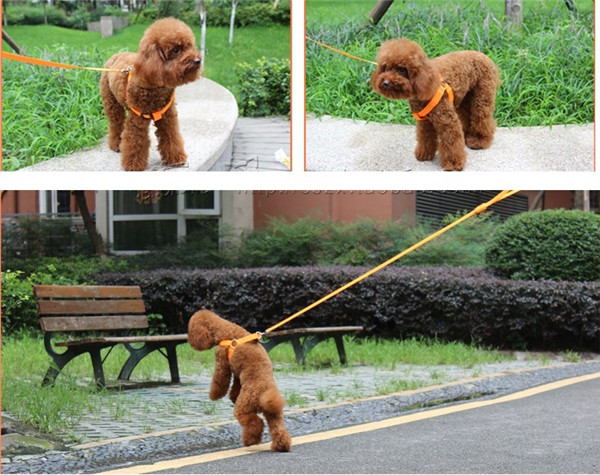 ペット用品深センledウォーク犬のハーネス問屋・仕入れ・卸・卸売り