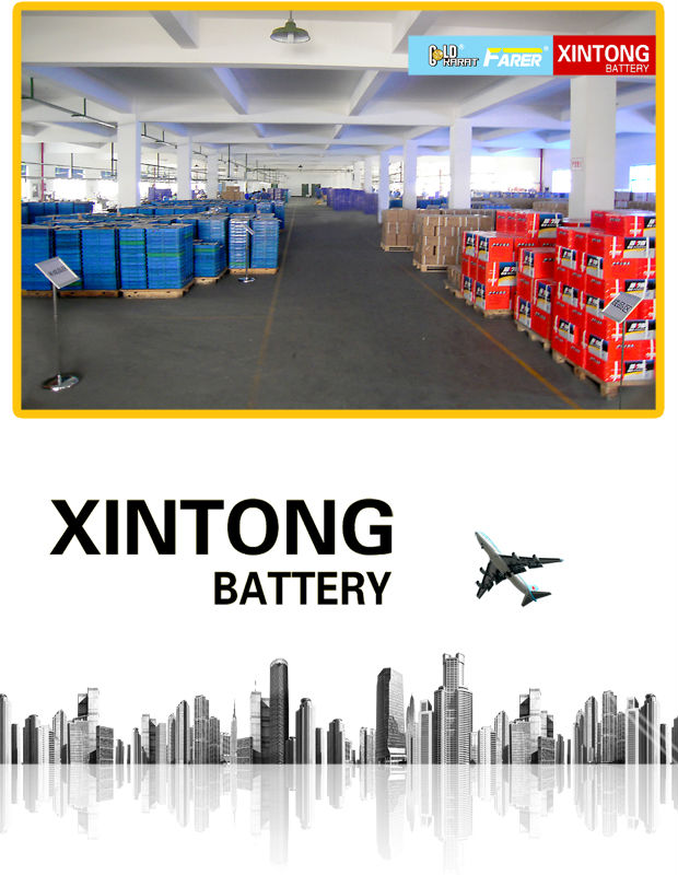 Super Duty Alkaline Battery (LR03 Battery)